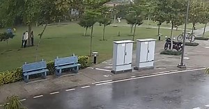 Watch: The moment when four people are struck by lightning under a tree in Gurugram