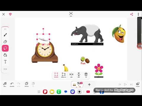 hickory dickory dock flower