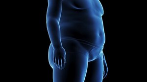 clip-1097105791-3d-rendered-animation-male-anatomy---timelapse