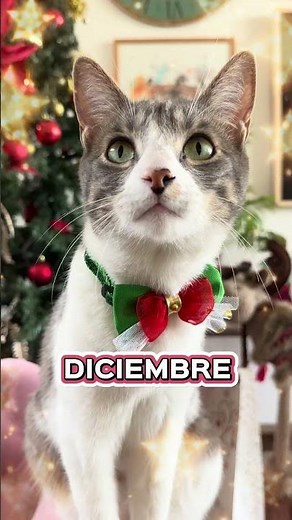 DICIEMBRE