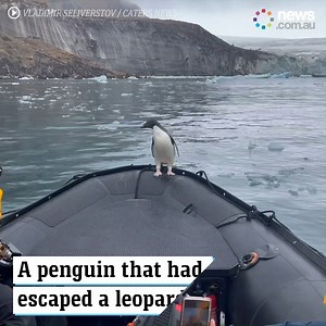 7.8M views · 205K reactions | What to do when your rideshare doesn't show up.  | News.com.au | Facebook