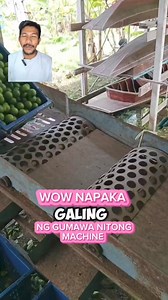 2.9M views · 6.1K reactions | Napaka galing na idea ng gumawa nito. #machine #fruit #farming #goodidea #diy | Tara Kape | Facebook
