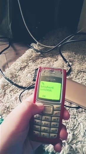 Nokia 1110i - Code error glitch