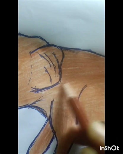 Elephant 🐘#coloring #drawing