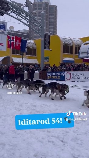 The 54th Annual Iditarod Trail Sled Dog Race kicked off in Downtown Anchorage today and it was a perfect morning to celebrate these teams, the culture, the tradition and Alaska’s state sport! Be sure to join us online or in person for tomorrow’s Official Restart at 2pm AKST. Happy Iditarod, everyone! #iditarod #iditarod2026 #alaska #thelastgreatrace #sleddogs #iditarod54