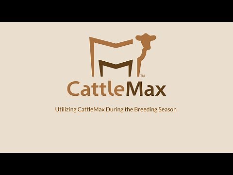 Utilizing CattleMax During Breeding Season