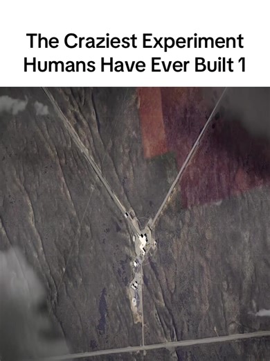 Exploring Humanity's Wildest Experiment Ever