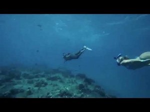 Diving Mask Full Face Mask Underwater UV-400 Protection