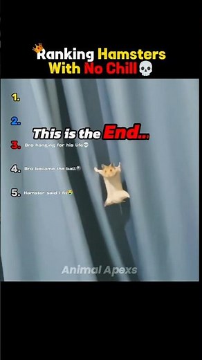 Ranking Hamsters With No Chill💀😂