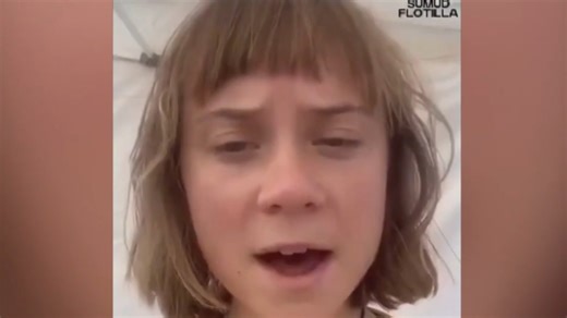 ‘Little gremlin’ Greta Thunberg and ‘hippy’ activists set sail to Gaza for third time