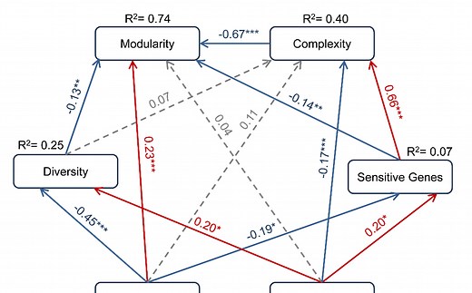 R语言-结构方程模型SEM