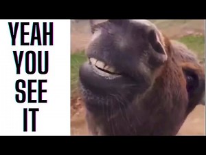 TONY BAKER VOICEOVER COMPILATION