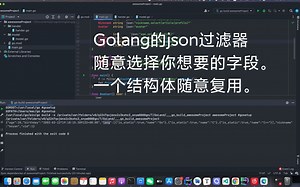 golang的json过滤器随意生成任意json数据结构，结构体随意复用。