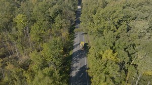 63 reactions · 4 comments | Join us on an immersive journey as we unveil the entire tree transplanting process. Contact us if you have any questions, we would love to answer them  / #TreePlanting #treeoftheweek #trees #treeservice #lansingmichigan #treework #evergreen #lansingmi #TreeTransplanting #GardeningTips | Fox Tree Farm | Facebook