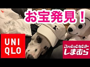 発売された１０１匹わんちゃんのグッズをダルメシアンと子どもが一生懸命紹介してくれます【UNIQLO、しまむらグループ】#ユニクロ#ダルメシアン#２歳児