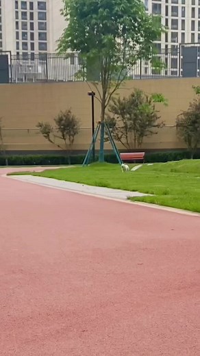 Love love U 🥰 #puppylove #pet #foryou #tiktok #trending #fyp #viral #dexuat #xuhuong #thinhhanh #doglover #funny #thucung #chó_cưng #vuinhon