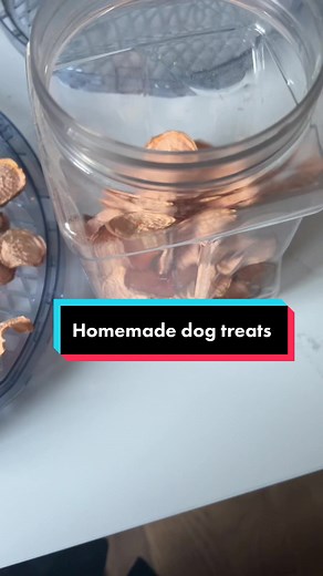 Brittany Hogan on TikTok