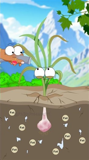 Why should garlic bulbs be watered and fertilized during their growth period?#shorts