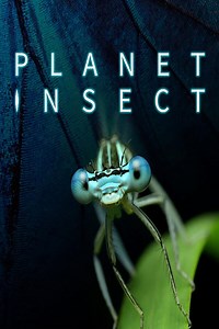 Planet Insect Season 1