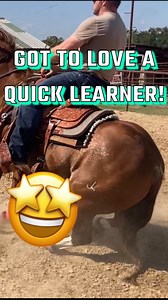 5.1K views · 91 reactions | Got to love a quick learner!  #horsepower #horseriding #horsesofinstagram #calfhorseinthemaking #rodeo #calfroping #tiedownroping #breakawayroping #coaching #lessons #tips #tools #advice #online #onlinecoaching #viral #subscribe #subscribenow | Rodeo Gym | Facebook
