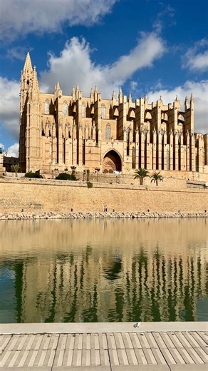 Escape the crowds on a busy Saturday in Palma and head down to Parc de la Marc infront of Palma Cathedral and take a moment to catch your breath. The views aren’t bad either ;) For everything you need to know about visiting Mallorca in December, there is a video out now on the Mallorca Under the Sun YouTube channel. | Mallorca Under The Sun
