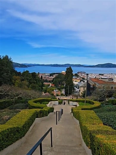 Exploring Lyon Street Steps: A Hidden Gem in San Francisco