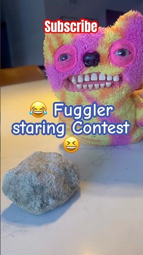 Fuggler Staring contest #fuggler #funny #rock