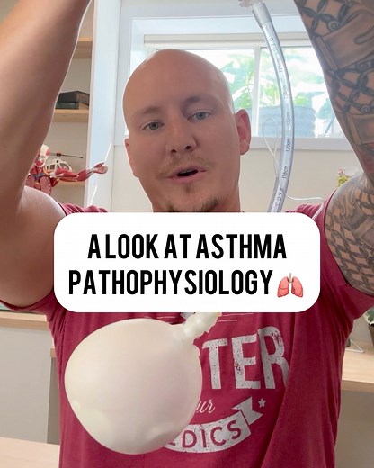 A look at asthma pathophysiology 👇 Struggle with scenarios? These will change that! 👉 https://www.masteryourmedics.com/products/ultimate-scenario-bundle | Master Your Medics