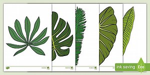 KS1 Jungle Leaf Template Cut-Outs