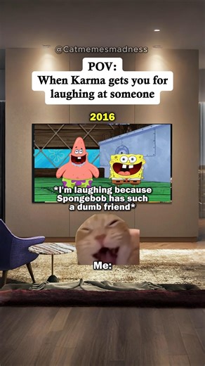 CAT MEMES 😹 POV: When Karma Gets You For Laughing At Someone #shorts #relatable #catmemes