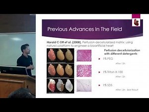 Decellularizing and Growing Organs