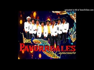 Dalia Tsitsiki- Los Pavorreales De Capacuaro
