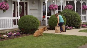 Encuentra El Amor En Valentine | Mundo Películas