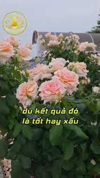 3 Lời Phật Dạy Giúp Hóa Giải Kẻ Tiểu Nhân, Xua Tan Ân Oán Và Xui Xẻo #baihoccuocsong#phatphaplinhung