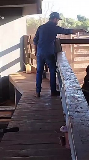 andrepulea no TikTok