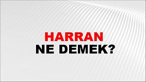 Harran Ne Demek? Harran Kelimesinin TDK Sözlük Anlamı Nedir? | NTV Haber