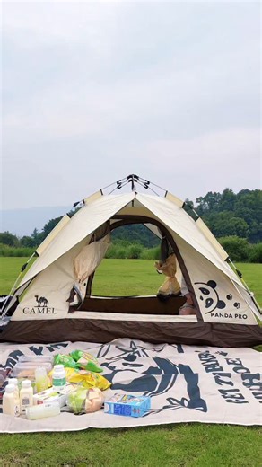 三胞胎天之文💕 | Part 1|•家有智慧萌娃的体验：哥哥们集体变陪衬，弟弟成全场MVP👑#一起长大的幸福#天然博士#小琥珀DHA #不管几岁快乐万岁 #三胞胎天之文 | Instagram