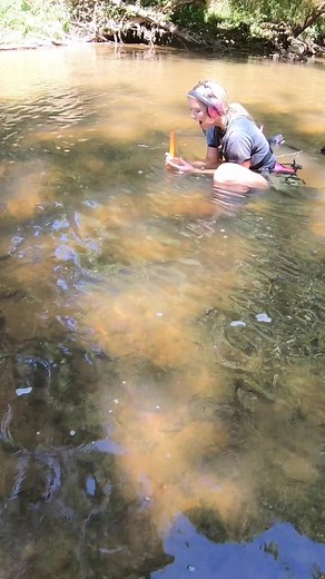 202K views · 5.4K reactions | So excited  when she found this in the river metal detecting! #metaldetectingfinds #excited #buckle #reels #metaldetector #river #riverside #treasurehunt #treasure #exploremore #nuggetnoggin #scubadiving | Nugget Noggin | Facebook