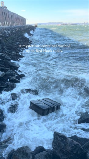 The wind has brought something to the Red Hook waterfront. | The Bowery Boys