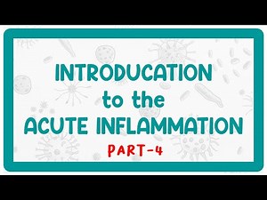 Acute Inflammation | Kinin, Clotting, Complement & More