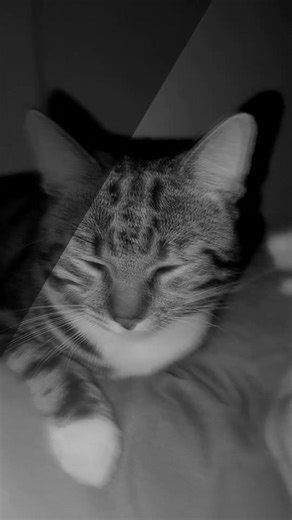 my baby Nöpö :]