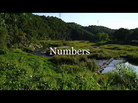 The Book of Numbers - New King James Version (NKJV) - Theatrical Audio Bible