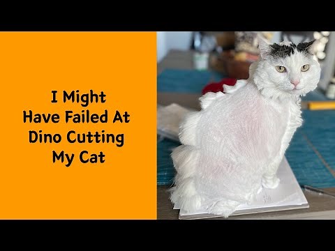 50 Pet Haircuts That Completely Transformed Their Look - Funny pet