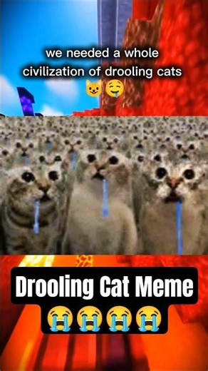 The Internet Made An Army Of Drooling Cats 🐱🤤 (Reaction Meme) ✌️💀