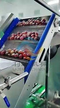 Passion fruit juice pulp puree making machine production line
