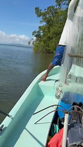 Belize Unknown on Reels
