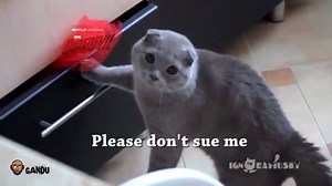 LOL! Netflix to sue the producers of Kaabil for plagiarising Daredevil! | Bollywood Gandu