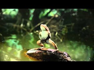 Mtn Dew Kickstart - Freak Chain