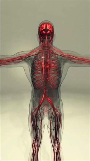 This Is Science-Based Calm (by Dr. Pawluk) | PEMF Therapy for Relaxation Support