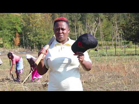 A - Z of Wambugu Apples | Part 1